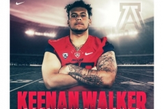 Walker